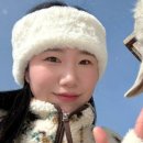 태백한우목장 이미지