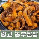 레드(RED)셀프세차장 | 광교맛집 , 농부쌈밥 : 쭈꾸미 2인 정식 주문 후기