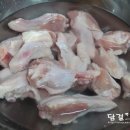 탄두리 이미지