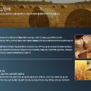(주)대한물류