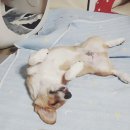 멍편한세상 이미지