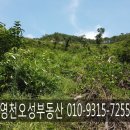 북영천IC주유소 이미지