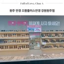 원주 안경 부모님 선물 중앙동 으뜸플러스안경