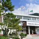 야생화마을 추리본부 이미지