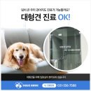 다산동물병원 이미지