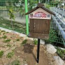 한밤실마을 이미지