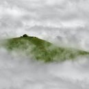 연화식품