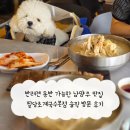 반려견 동반 가능한 남양주 맛집 팔당초계국수본점 솔직 후기