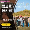 방과후 | TVN: 방과후 태리쌤 (시청 후기/정보/리뷰/방송시간/출연진/촬영지/OTT)