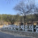 싱잉볼 힐링요가 B 이미지