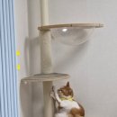 영등포아크로 동물병원 이미지