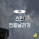 아름다운날개 | 대만 스펀 천등날리기 닭날개 볶음밥 후기