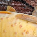 이도수산 이미지