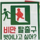 나이스바디 | 식단관리 건강한 다이어트의 시작, 나이스바디 민코 후기