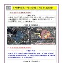 남수원초교 이미지