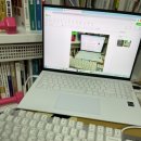 미야컴퍼니 네이버블로그