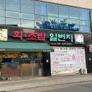 회초밥일번지 이미지