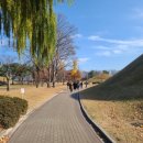 동천육회