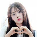 지우투어 이미지