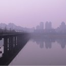 버블타운 이미지