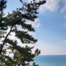 [여행] 제주여행 제주올패스(브이패스) 이용 후기