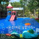 세븐일레븐 전북완주운주점 | 완주&lt;운주계곡 솔밭가든&gt;전주 근교 평상 대여+물놀이장+계곡 여름 피서 완벽 코스