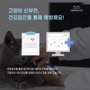 금릉동물의료센터 이미지