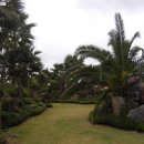 표선리-3 이미지