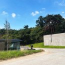 분당-313 이미지