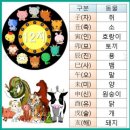 미스터박 카페 앞 이미지