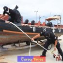 완도9호 이미지