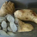 구만리낚시터 이미지