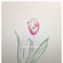 예쁜 꽃그리기(보테니컬아트) 이미지