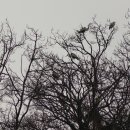 중방2리 이미지