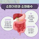 제생당한의원 네이버블로그