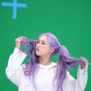 보라미미