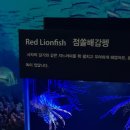 여수아