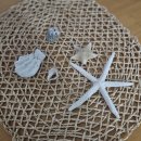 봉포 김여사 | 봉포김여사 고성 뷰좋은 숙소