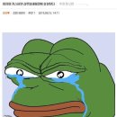 샴퓨 이미지