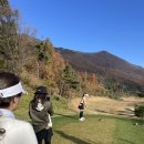 세일골프장 이미지