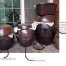 넥시아 이미지