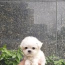 플레이독 파주본점 이미지