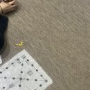 분더하우스 이미지