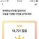 투고샐러드 - 서구 구덕로 230 | 투고샐러드