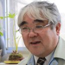 진보태양광발전소 이미지