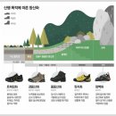 테크니카 | 등산화 테크니카 포지GTX 내돈내산 후기