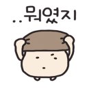 꼼나나브라이드대구