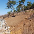 두량1리 이미지