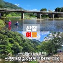 대포숲캠핑장 이미지