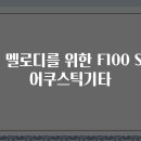 포크기타 (중급) | 감성 멜로디를 위한 F100 Slim 어쿠스틱기타
